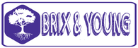 logo brix&young